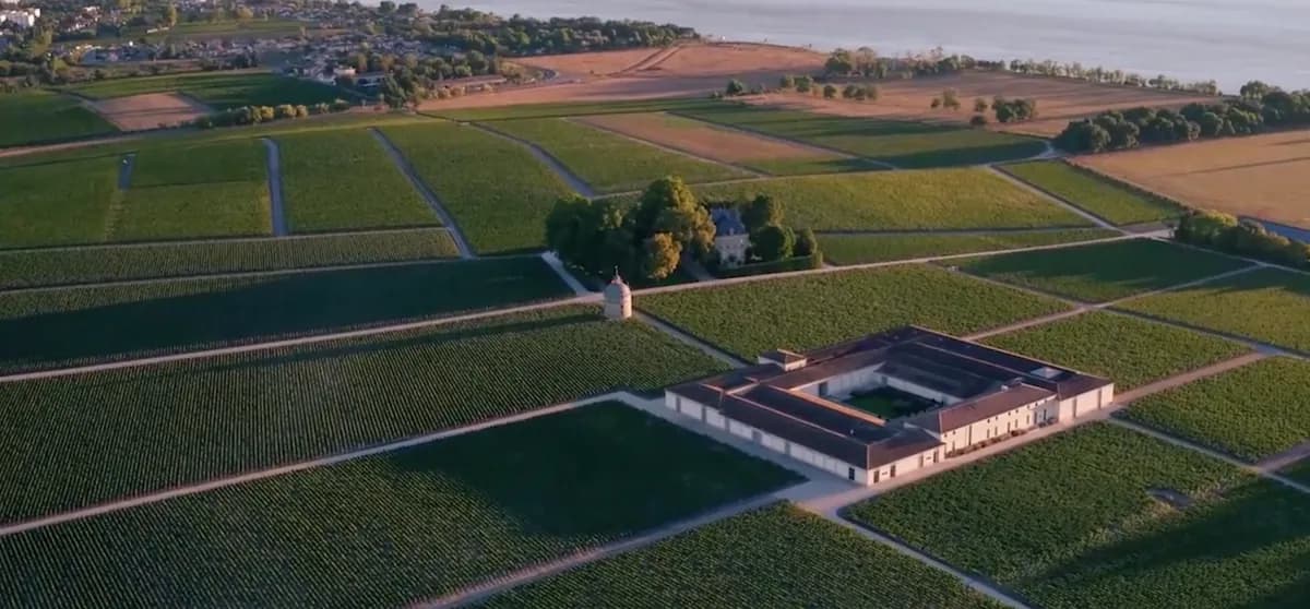 Chateau Latour Winery