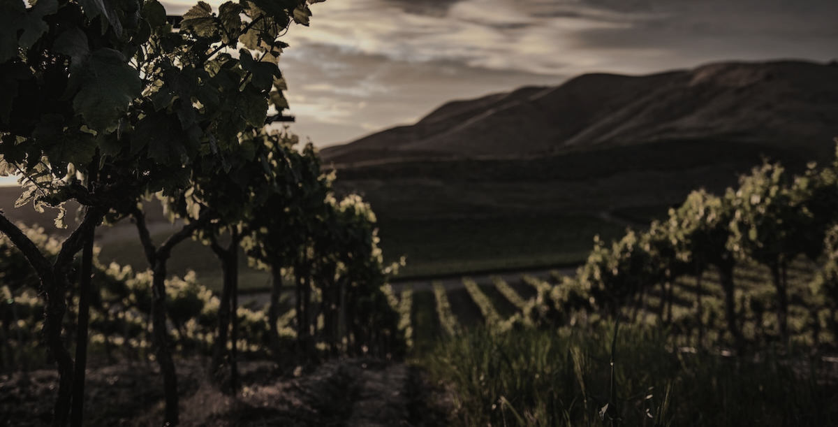 Chateau Mouton Rothschild